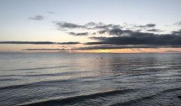 瓜洲免费吃瓜在哪了,探寻美食新地标