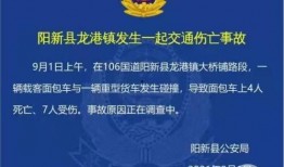 湖北阳新新闻爆料,突发事件引发关注，详情即将揭晓