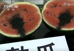 北美爆料吃瓜视频,吃瓜视频揭秘娱乐圈幕后真相