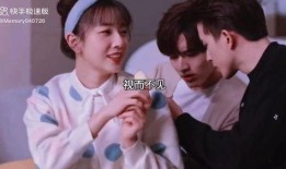 在线观看热播剧,揭秘剧情高潮与角色命运