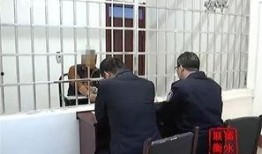 河北安平县爆料案件最新,案情最新进展及社会关注焦点