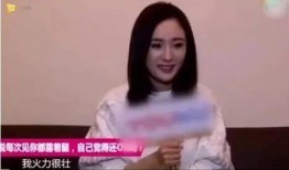 明星家暴爆料热搜事件视频,真相与反思