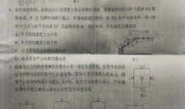 微博小猪爆料最新视频是真的吗,微博小猪爆料视频真实性揭秘