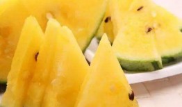 网红吃瓜勺子图片大全大图,趣味横生的美食潮流瞬间