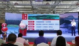 今日百家爆料新闻直播,聚焦时事热点，解码今日新闻动态