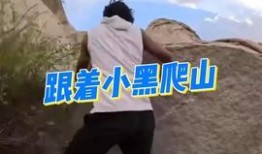 黑哥爆料爬山视频,一场惊心动魄的爬山冒险之旅