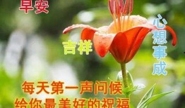 早安最新爆料图片卡通,卡通形象惊艳亮相，揭秘神秘新项目